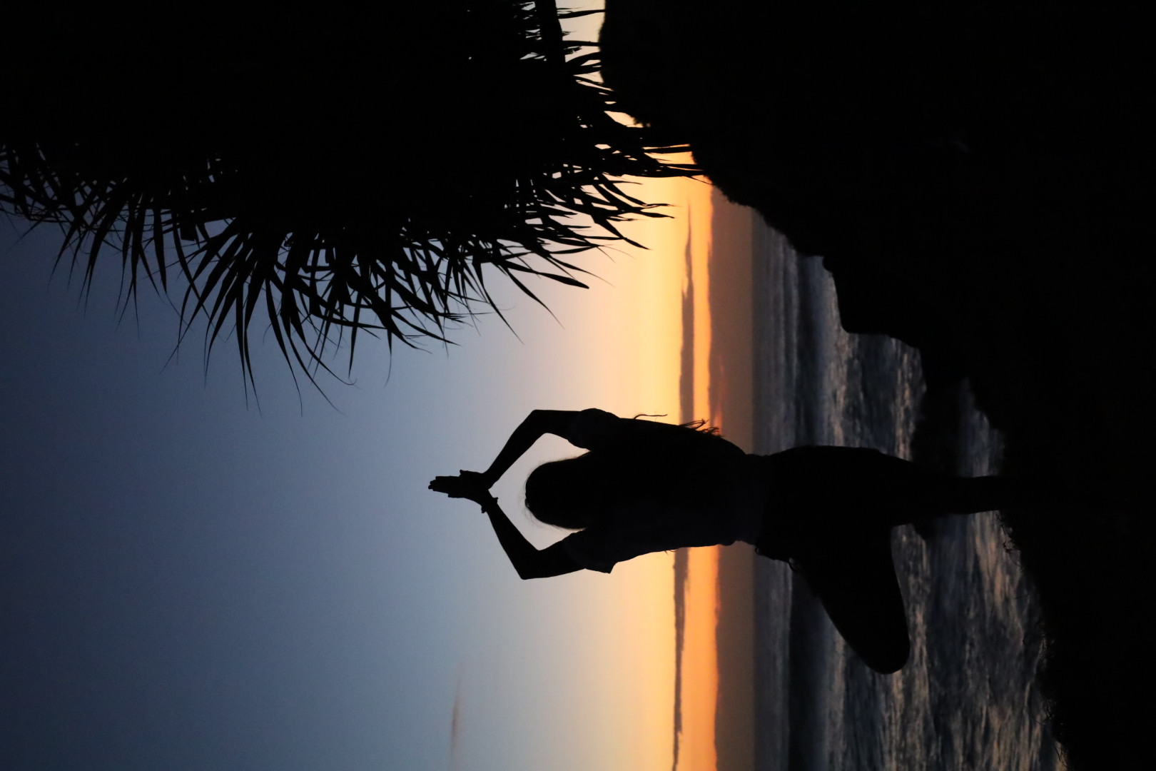 Nic in tree pose beside a palm tree at sunset